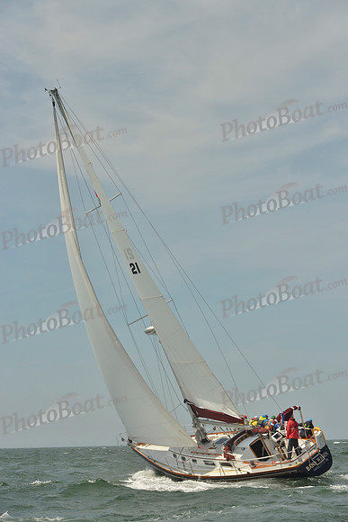 2018 Figawi_0772