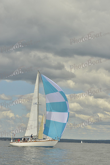2016 Vineyard Race A_1015