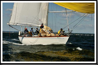 proof_2010_Vineyard_Race_0473