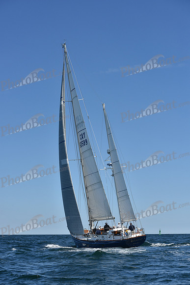 2019 Marblehead to Halifax A_0972