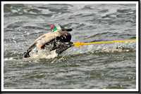 proof_2010 Gov Cup A 004
