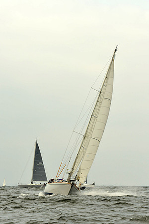 2015 Vineyard Race A 101