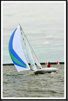 proof_2010_EScows_A 731
