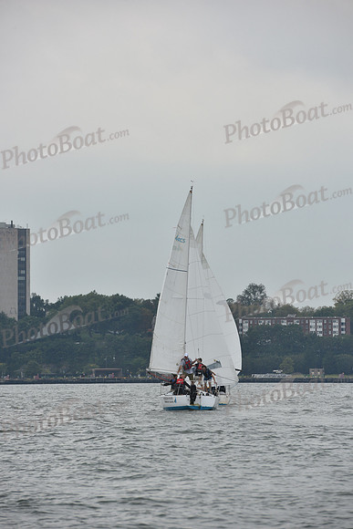 2019 NY Architects Regatta A_0752