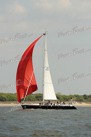 2014 Charleston Race Week C 266