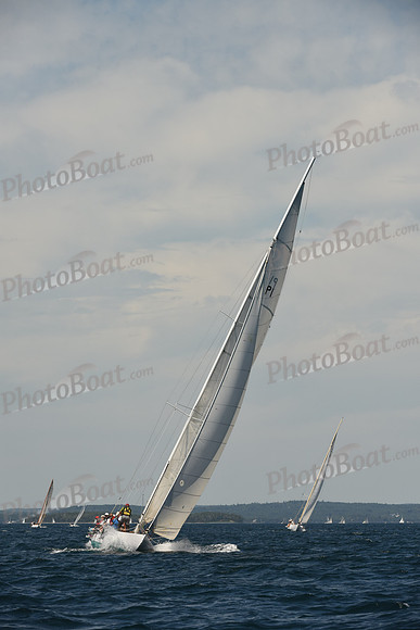 2016 Chester Race Week A_0747