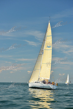 2015 Cape Charles Cup C 752