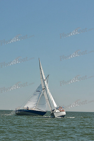 2013 Southern Bay Race Week C 1273