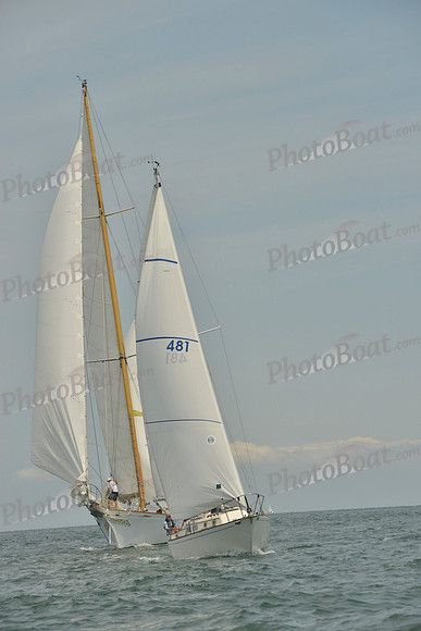 2018 Vineyard Cup B_0196