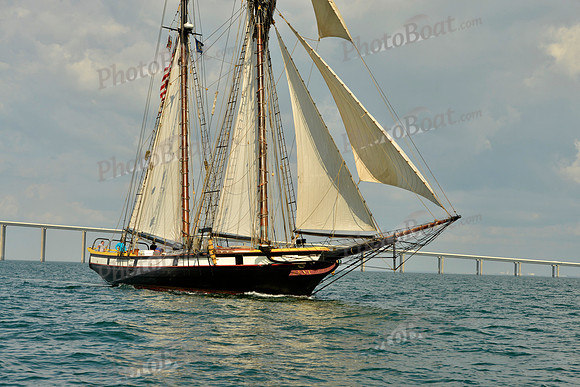2017 St Petersburg Habana Race_1784