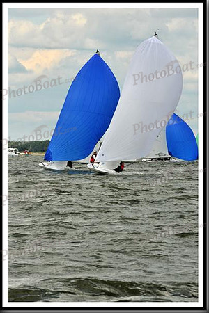 proof_2010_EScows_B 469