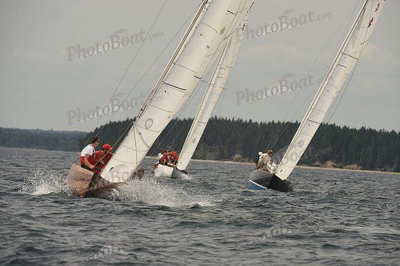 2016 Chester Race Week C_1079