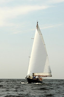 2013 Vineyard Race A 606