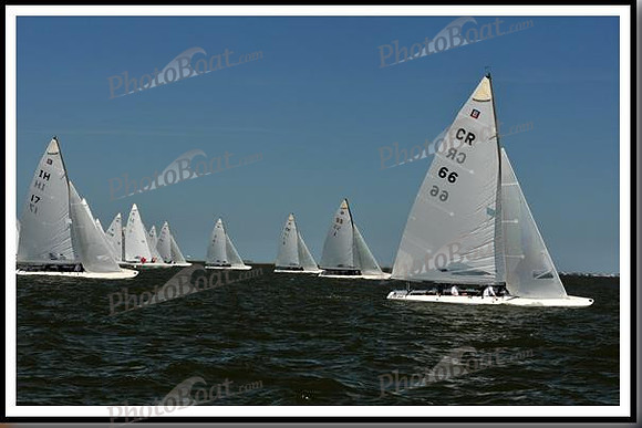 proof_2010_EScows_E 672