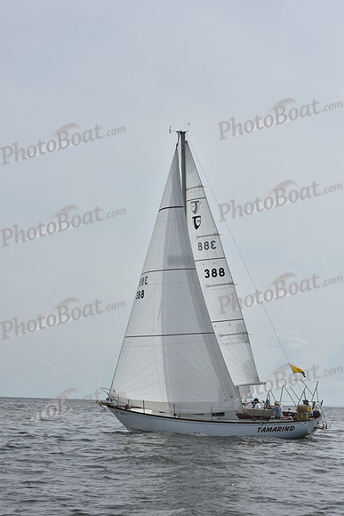 2019 Gov Cup A_0537