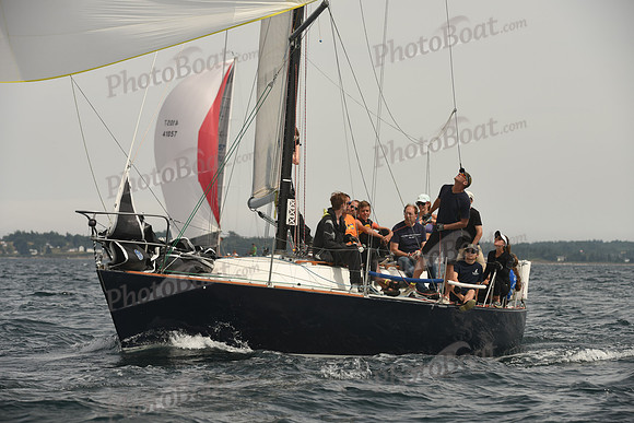 2016 Chester Race Week C_1537