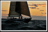 proof_2010_Vineyard_Race_2467
