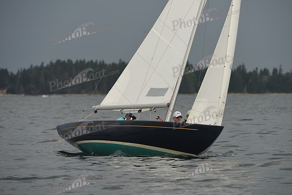 2016 Chester Race Week D_0989