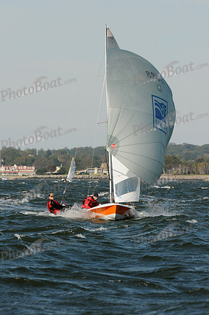 2011 505 NAs D 230
