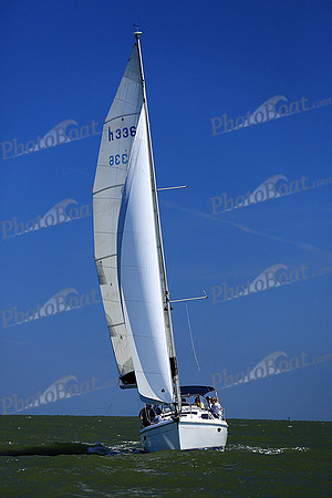 2014 Southern Bay Race Week DB3 209