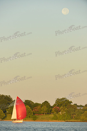 2015 Gov Cup C 344