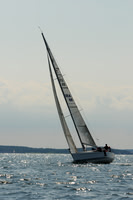 2011 Vineyard Race A 1388