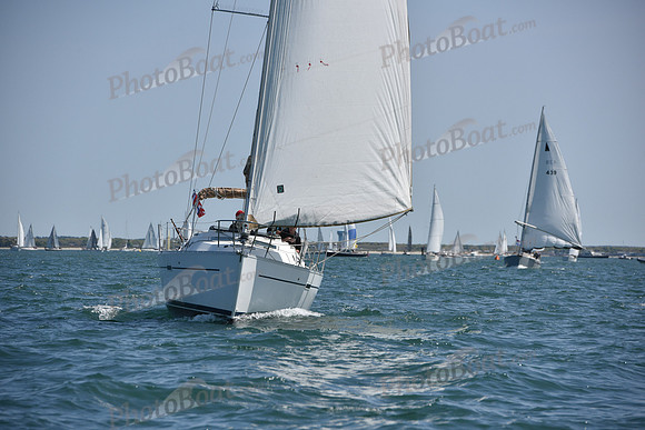 2019 Figawi_0421