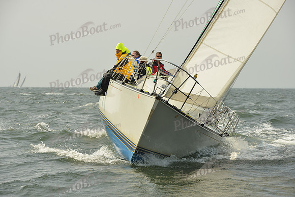 2015 Vineyard Race A 583