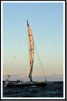 proof_2010_Vineyard_Race_2398