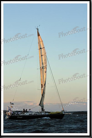 proof_2010_Vineyard_Race_2398