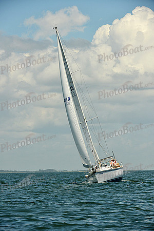 2015 Southern Bay Race Week C 723