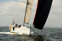 2013 Vineyard Race A 791