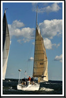 proof_2010_Vineyard_Race_0081