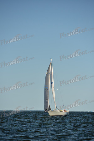 2015 Vineyard Race C 537