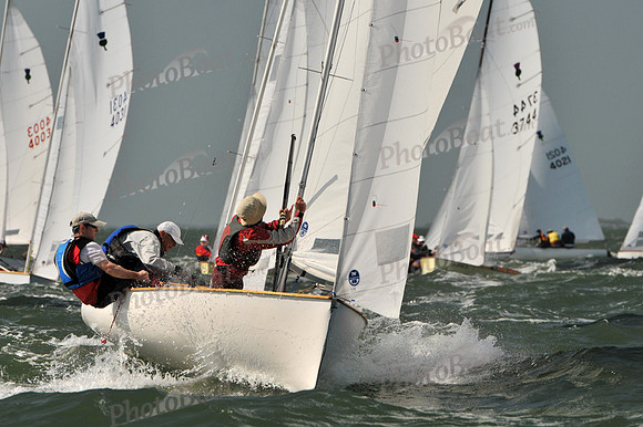 2012 Thistle Midwinters B 537