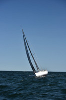 2021 Vineyard Race B 1859