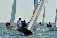 2012 Thistle Midwinters A 477