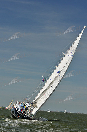 2013 Southern Bay Race Week D 804