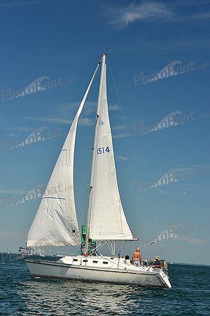 2015 Cape Charles Cup A 1094