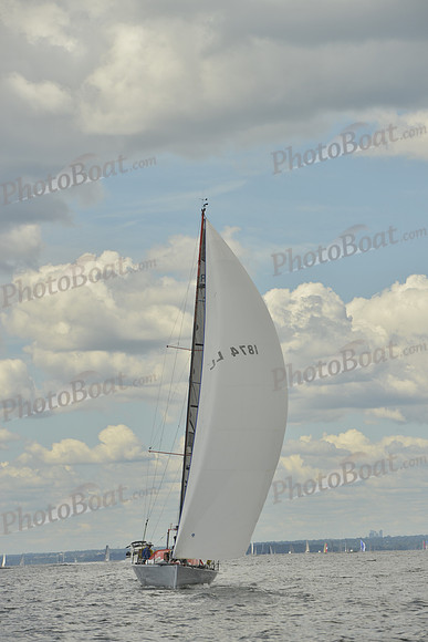 2016 Vineyard Race A_0848