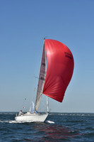 2019 Vineyard Race A_0296