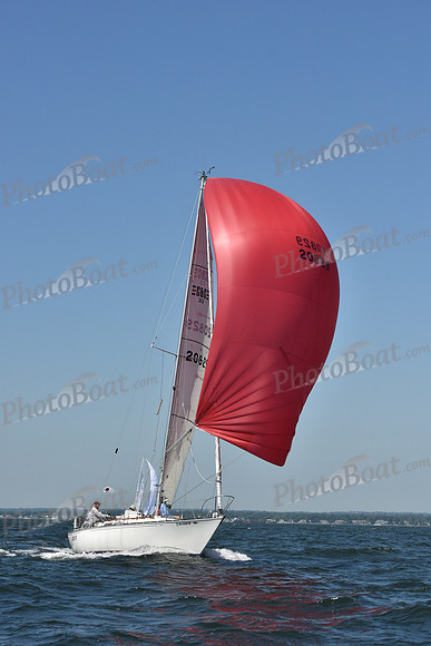 2019 Vineyard Race A_0296
