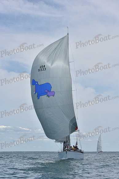 2019 Figawi_1657
