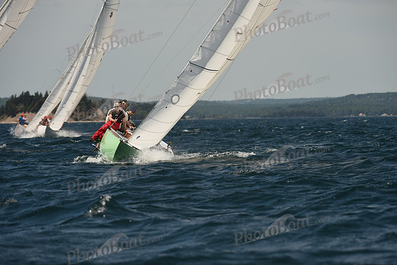 2016 Chester Race Week A_1187