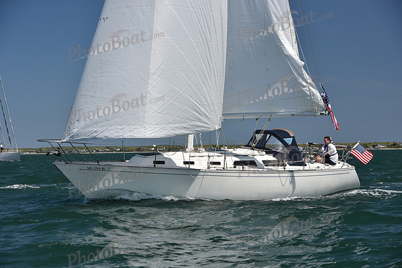 2019 Figawi_0646