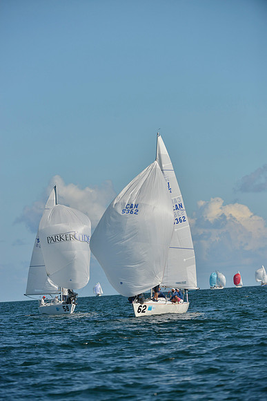 2019 J24 Worlds G_0879