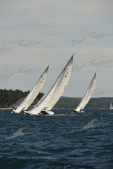 2016 Chester Race Week A_1168