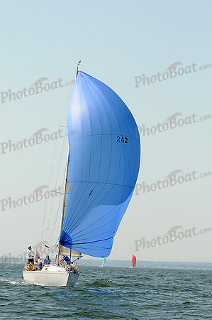 2012 Vineyard Race A 858