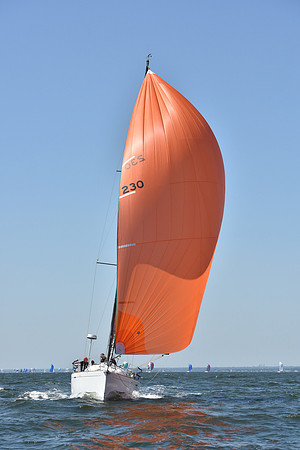 2019 Vineyard Race A_1402