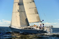2014 Vineyard Race A 614